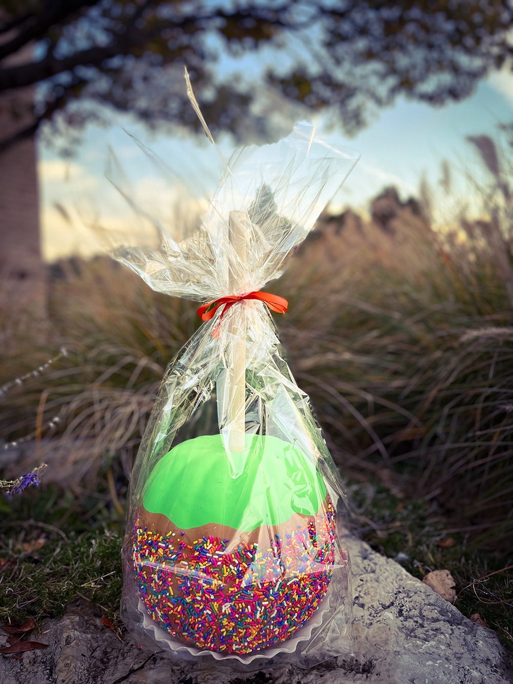 Decorated pumpkin